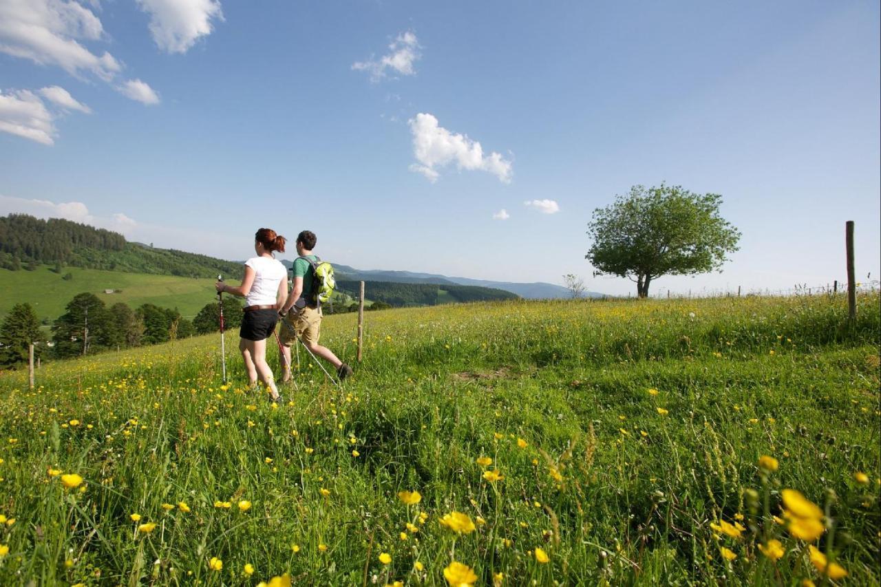 Pension Haus Daheim Todtnauberg Luaran gambar